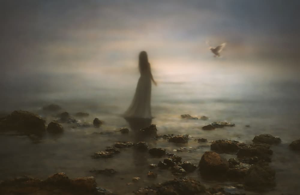 Ethereal Woman And Dove by Yvette Depaepe — canvas wall art