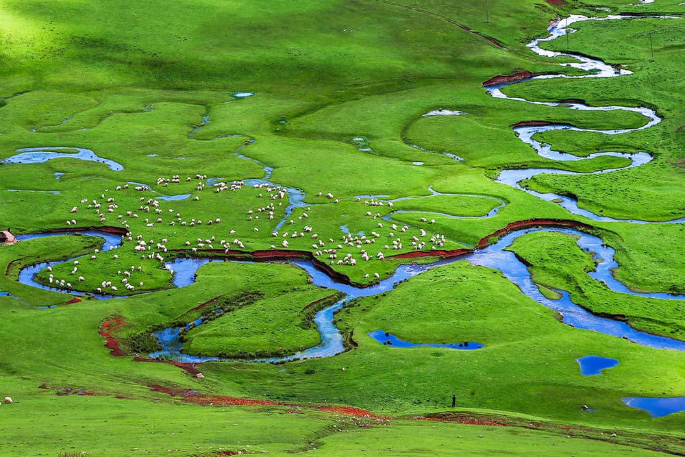 Winding River Green Hills by Suleyman Uzumcu — canvas wall art