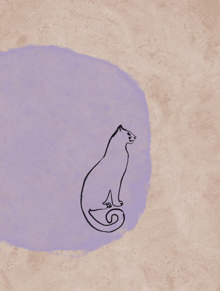 Minimalist Sitting Cat by Beate Tubach — canvas wall art