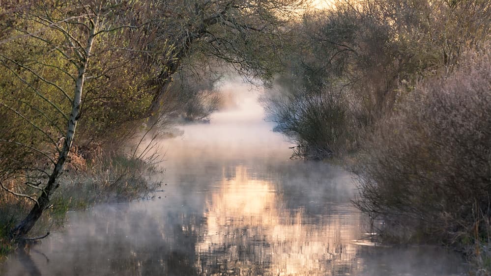 Misty River Morning by Leif Løndal — canvas wall art