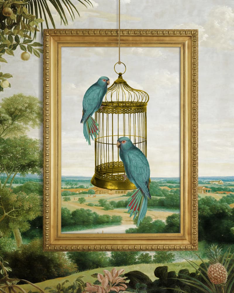 Blue Parrots Golden Cage