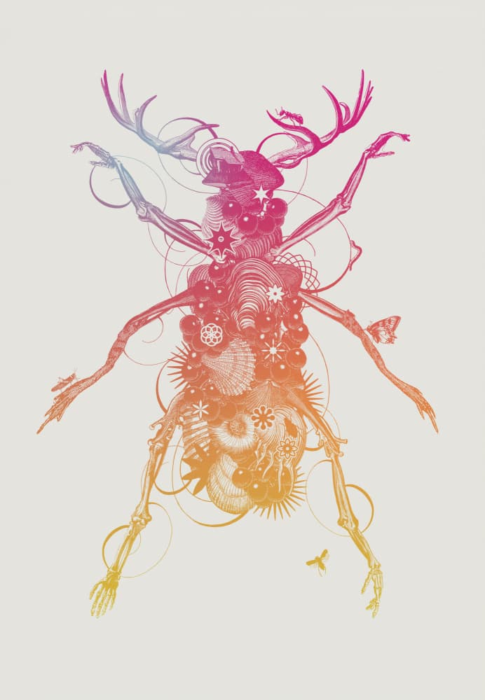 Vibrant Fantasy Beetle by Jaco Putker — canvas wall art