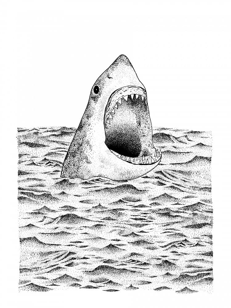Great White Shark Ocean by Martina Scott — canvas wall art