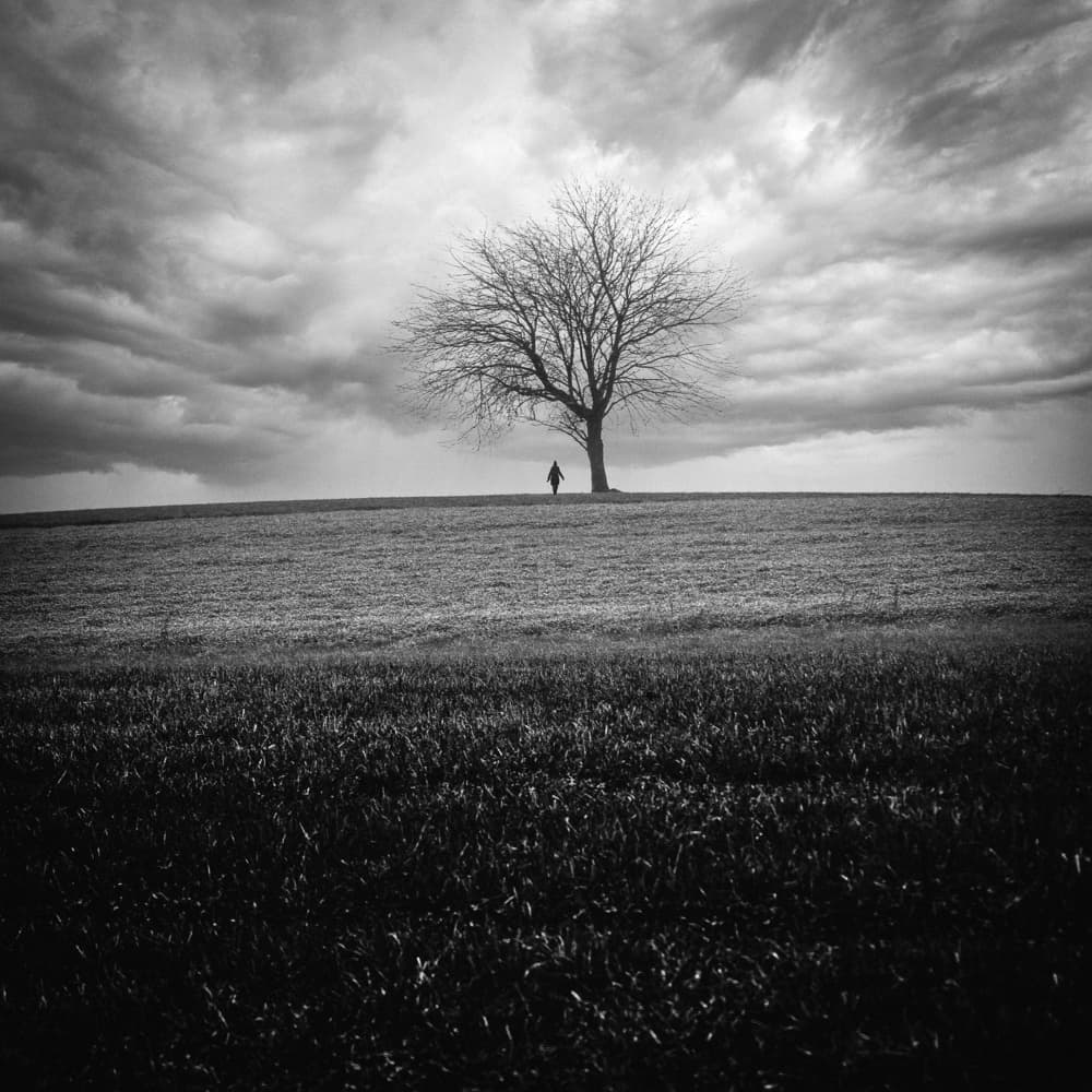 Lone Figure Bare Tree by Renate Wasinger — canvas wall art