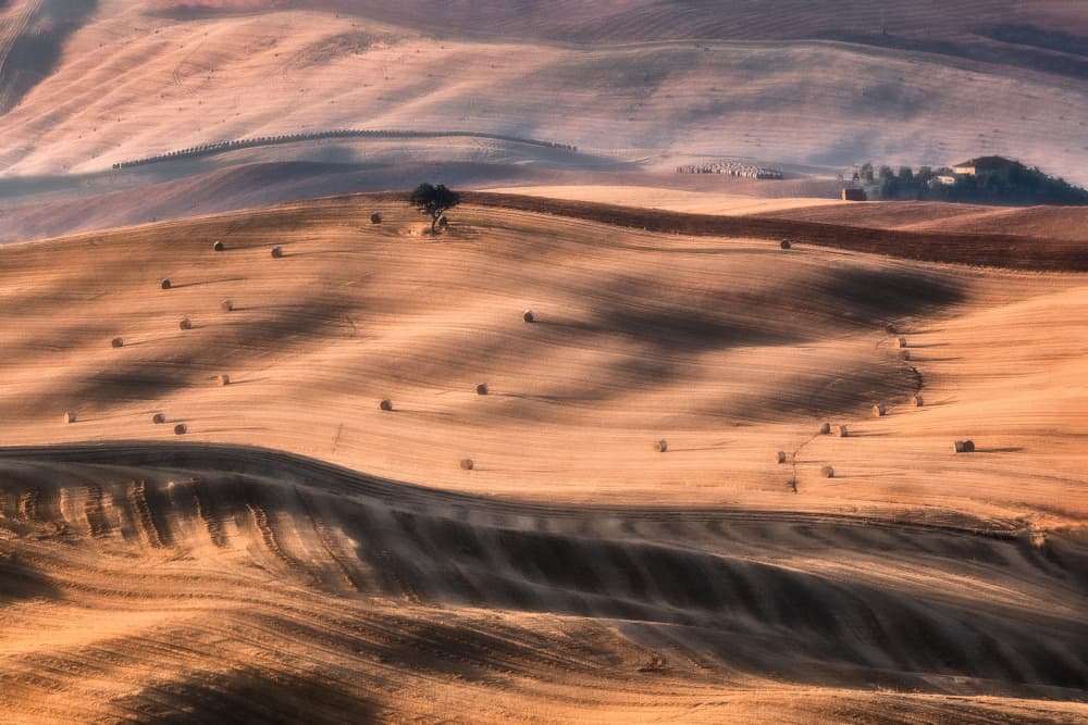 Rolling Golden Hay Fields by Sebastian Prioteasa — canvas wall art