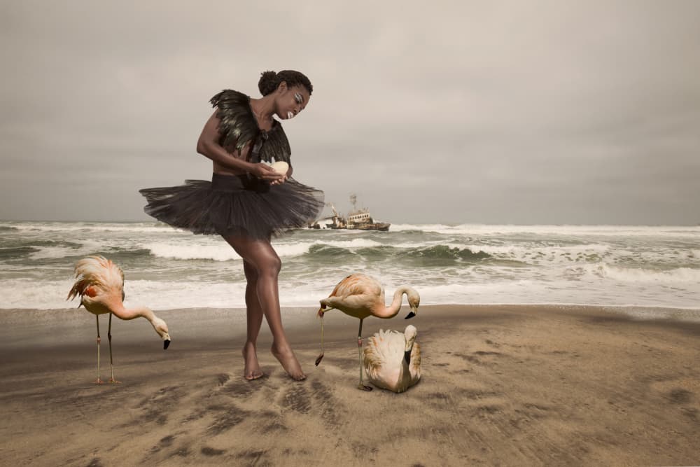 Ballerina and Beach Flamingos by Christine von Diepenbroek — canvas wall art