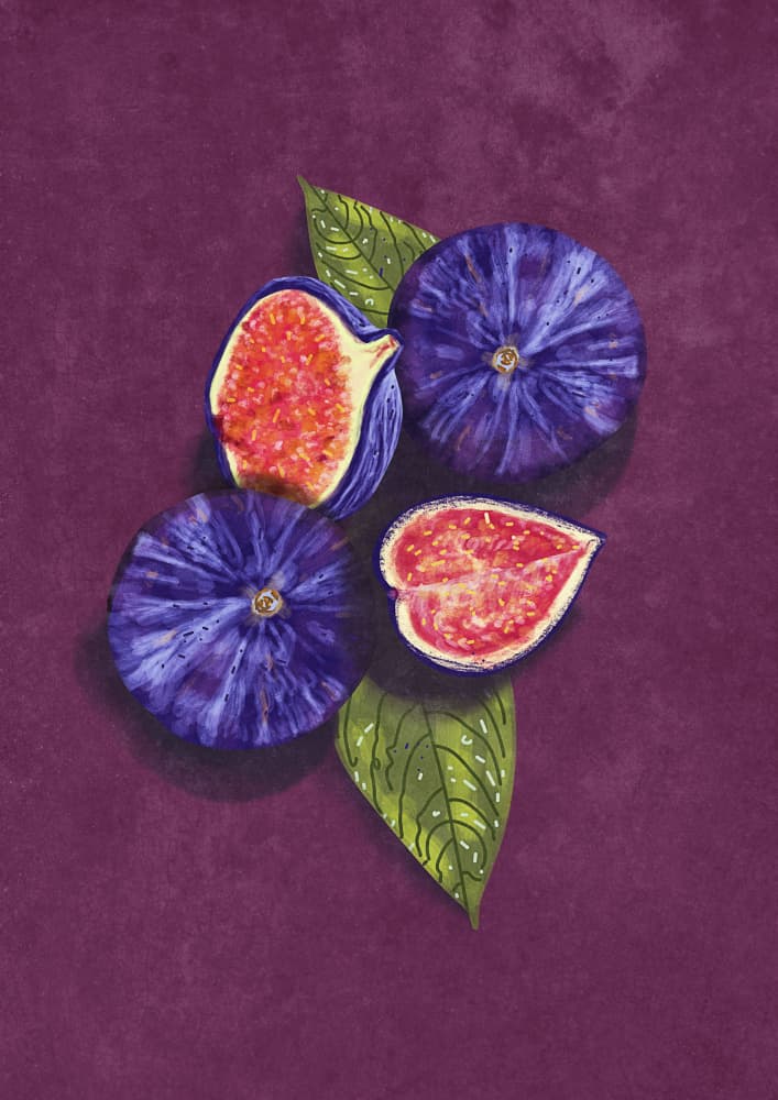 Figs Stil Life by Raissa Oltmanns — canvas wall art