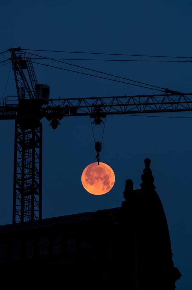 Crane Lifts Moon by Jay Zhu — canvas wall art