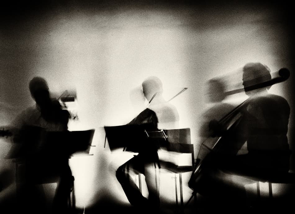 Blurred Symphony by Mirela Momanu — canvas wall art