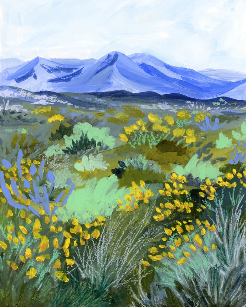 Yellow Desert Bloom by Sarah Gesek — canvas wall art