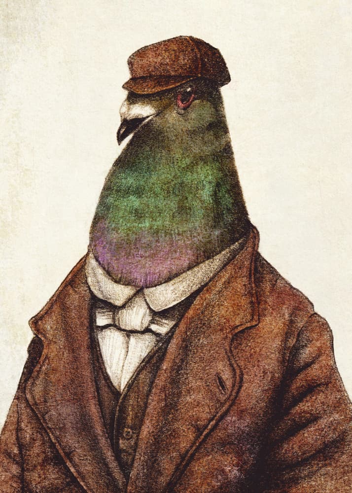 Pigeon Dressed In Vintage Attire by Mike Koubou — canvas wall art