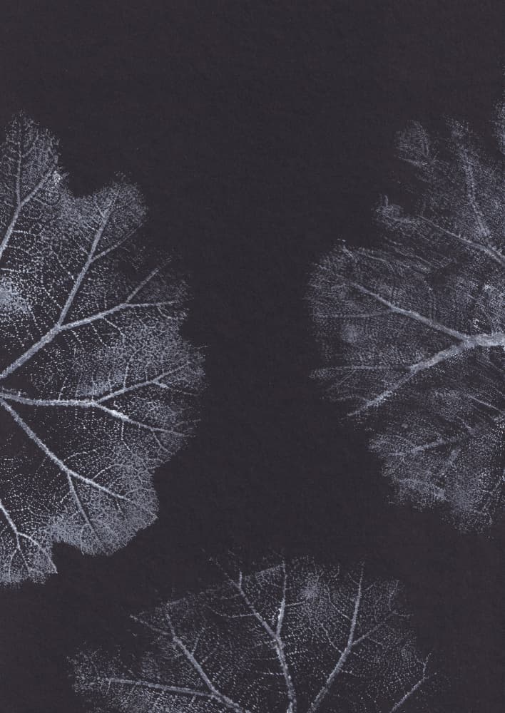 Monochrome Leaf Textures by Maira Ribena — canvas wall art