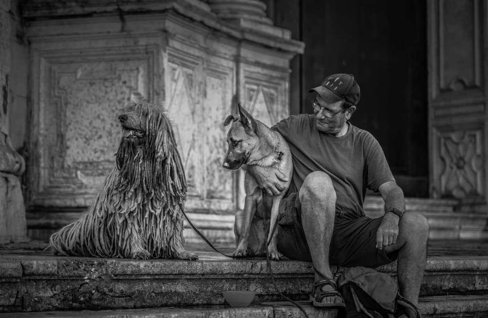 Urban Dog Companions by PacodlaCorte — canvas wall art