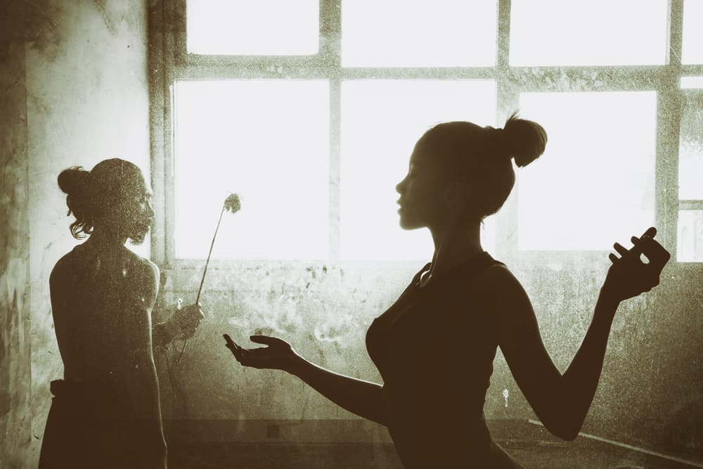 Graceful Silhouettes Window Light by Heru Sungkono — canvas wall art