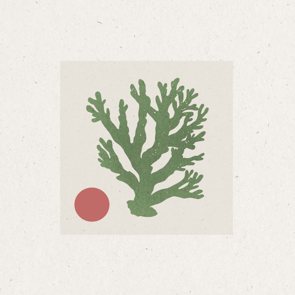 Coral and Sun by THE MIUUS STUDIO — canvas wall art