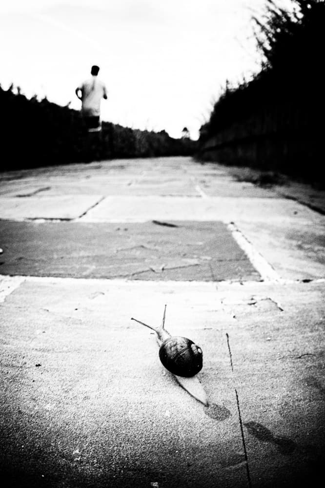 Snail Pace Runner by Walter Caterina — canvas wall art
