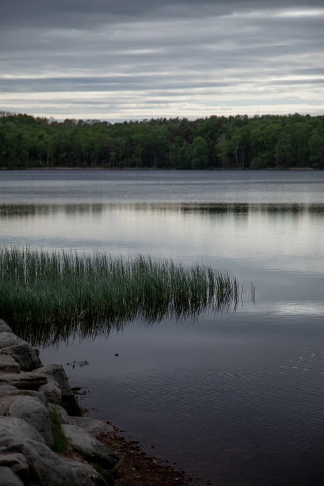 Somewhere In Sweden 2 by Mareike Böhmer — canvas wall art