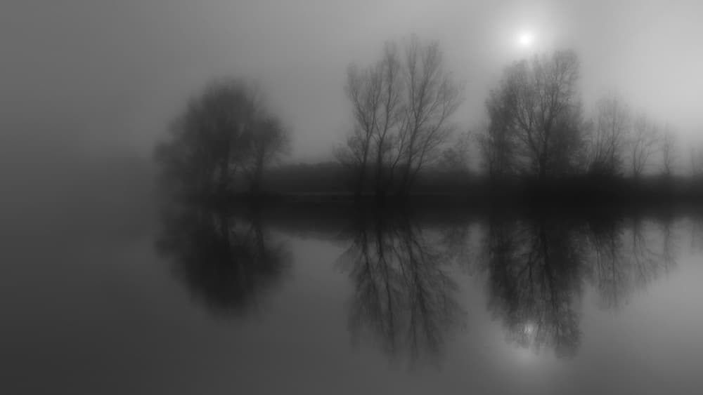 Misty Trees Reflections by Christian Roustan (Kikroune) — canvas wall art