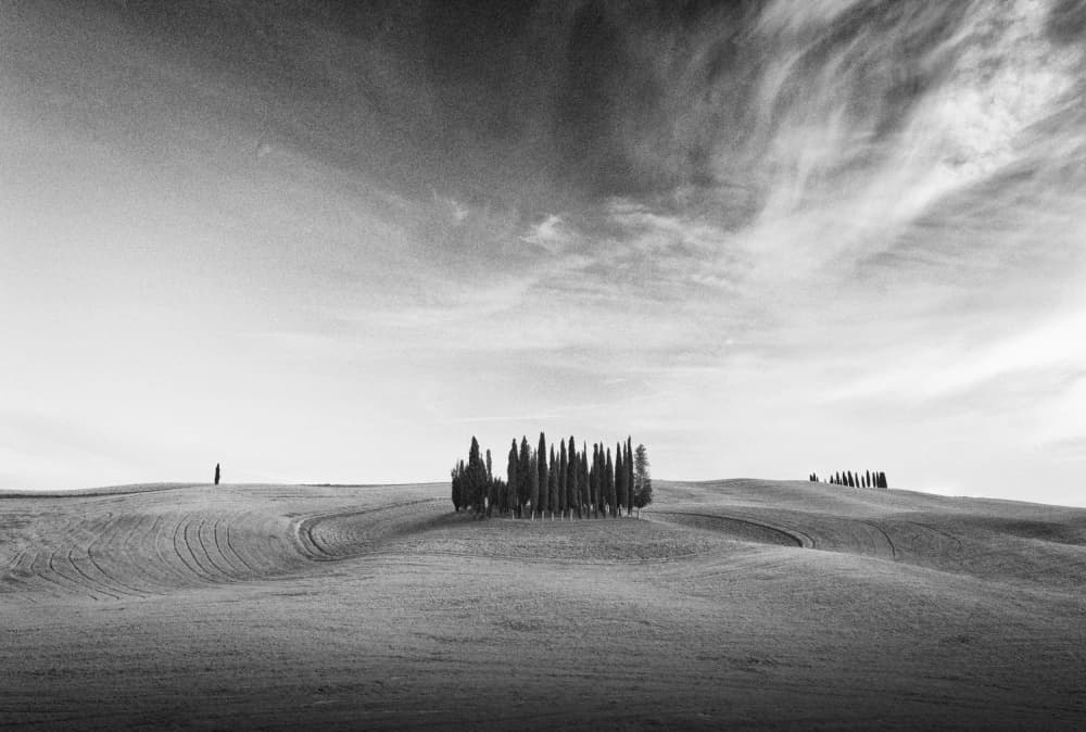 Tuscan Cypress Hills by Alex Li — canvas wall art