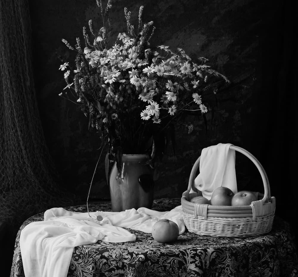 Daisies and Apples Still Life by UstinaGreen — canvas wall art