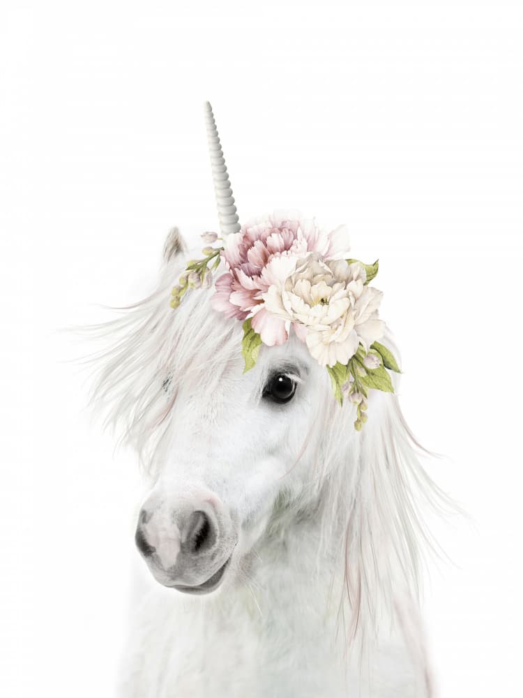 Magical Floral Unicorn by Lila &amp; Lola — canvas wall art