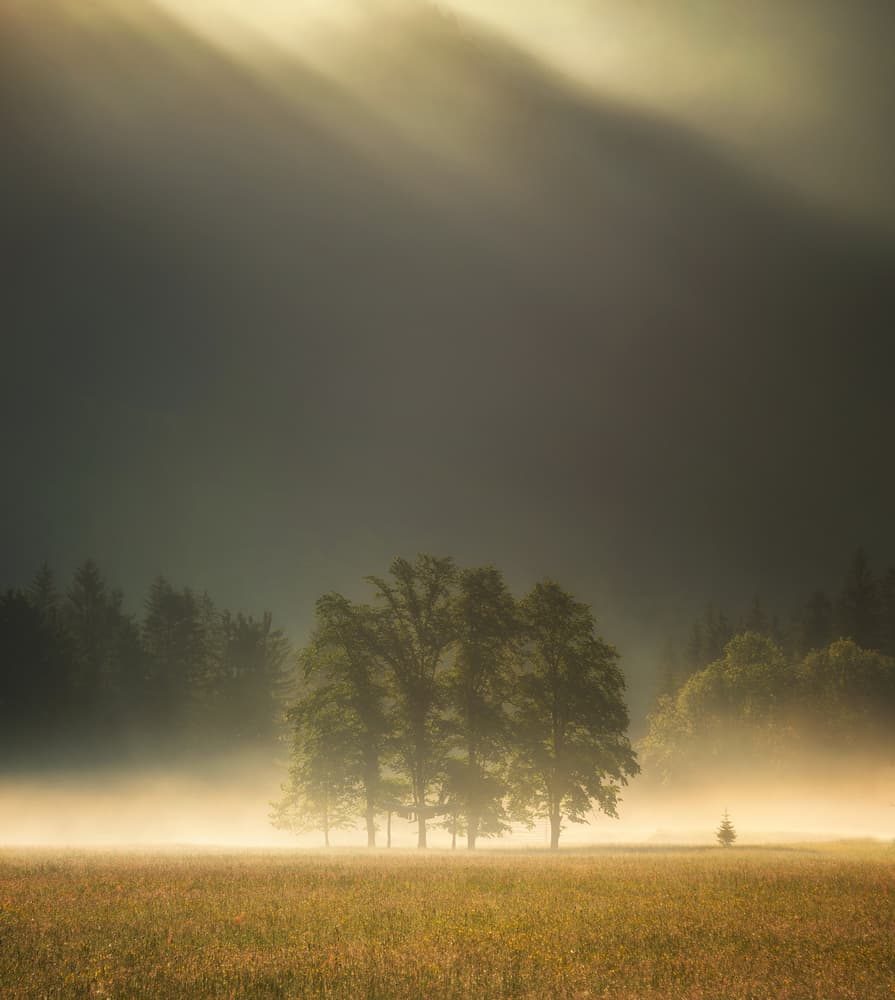 Misty Morning Sun Rays by Ales Krivec — canvas wall art