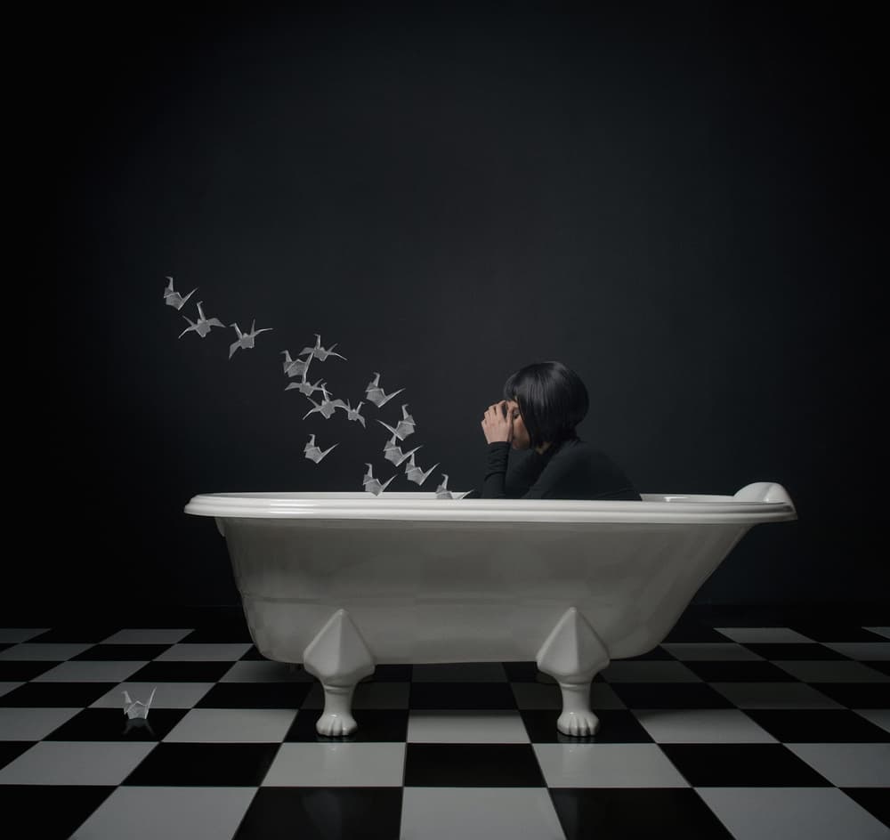 Solitude And Paper Cranes by hardibudi — canvas wall art