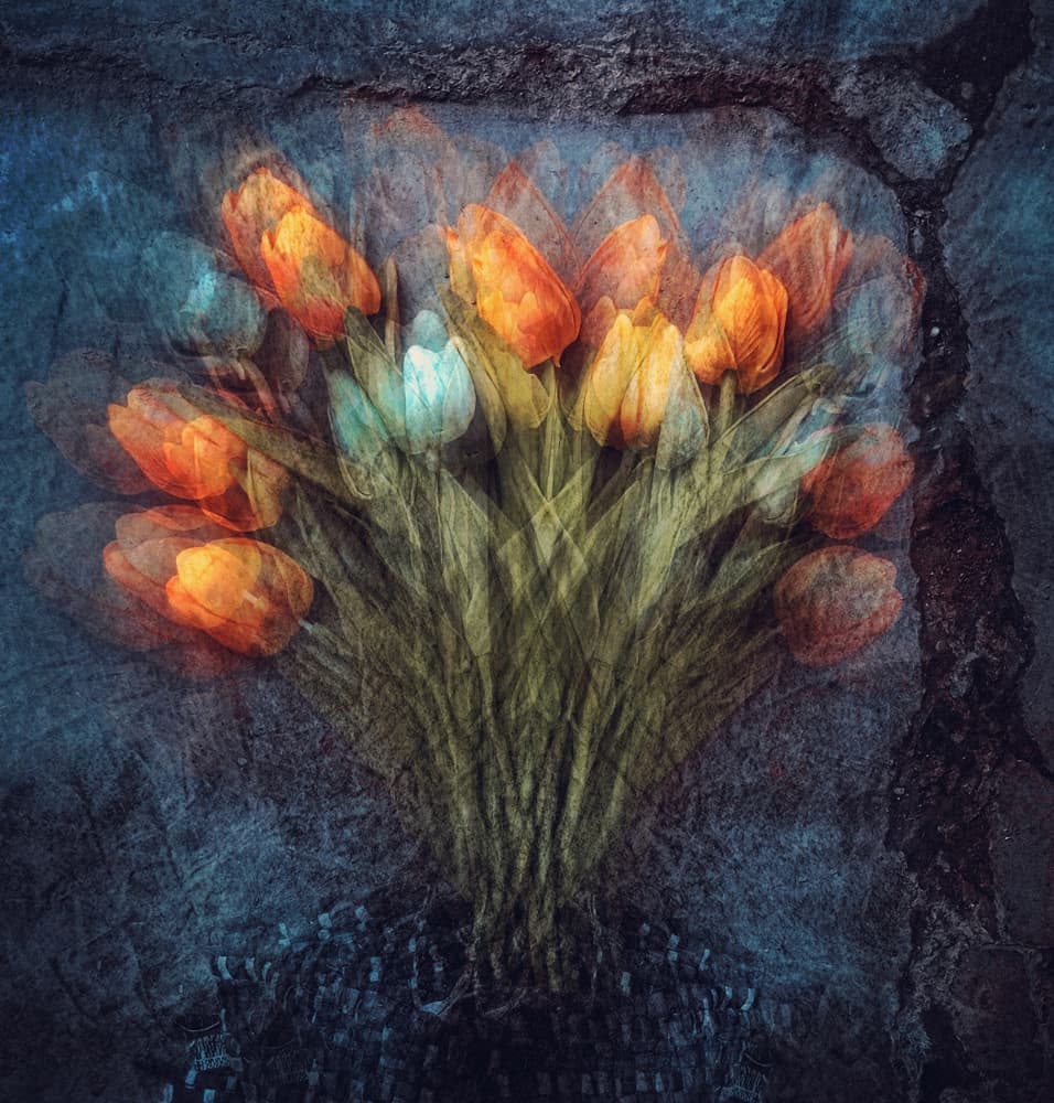 Ethereal Orange Tulips by Kahar Lagaa — canvas wall art