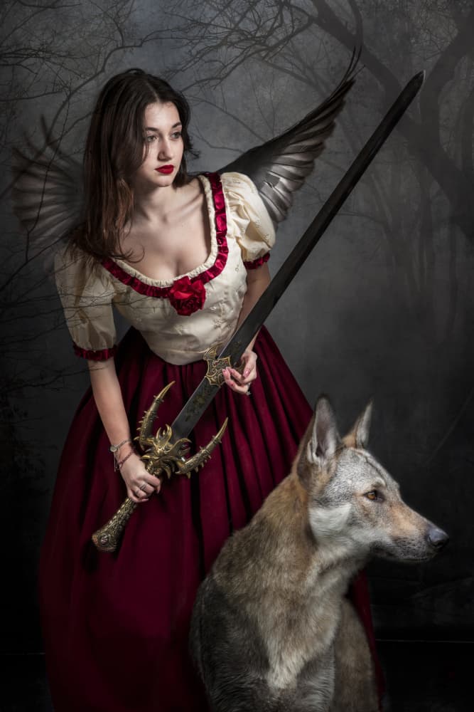 Dark Angel Warrior by Martine Benezech — canvas wall art