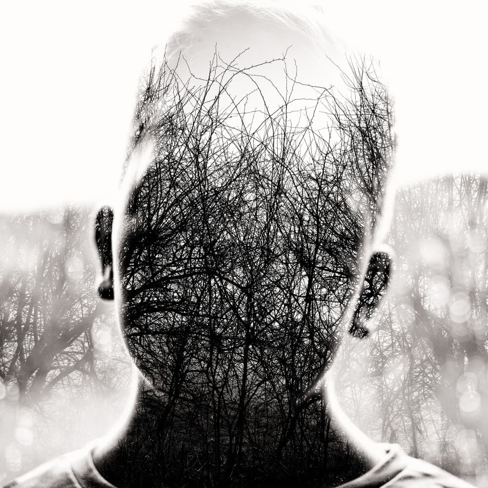 Mind's Tangled Branches by Robert Kuavi — canvas wall art