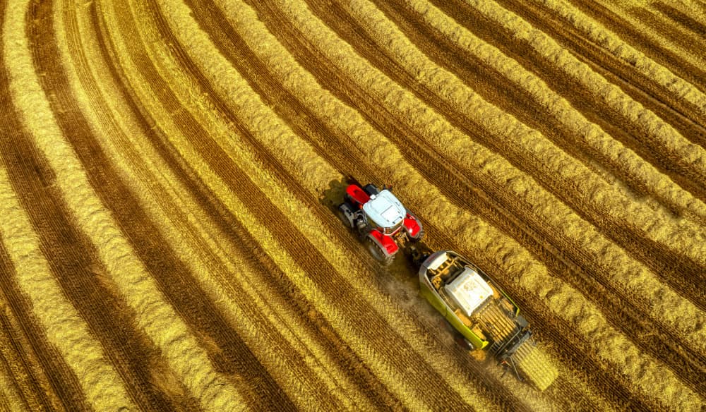 Golden Field Harvest by Guy Krier — canvas wall art