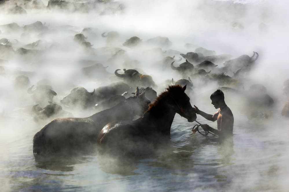 Misty Morning Bath by Ummu Nisan Kandilcioglu — canvas wall art