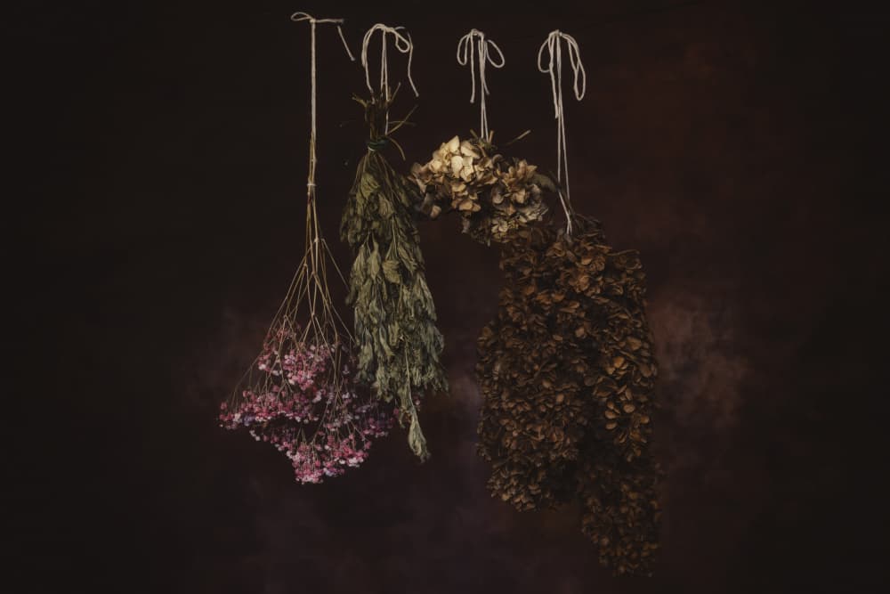 Dried Herbs And Blooms by Carmen Watkins — canvas wall art