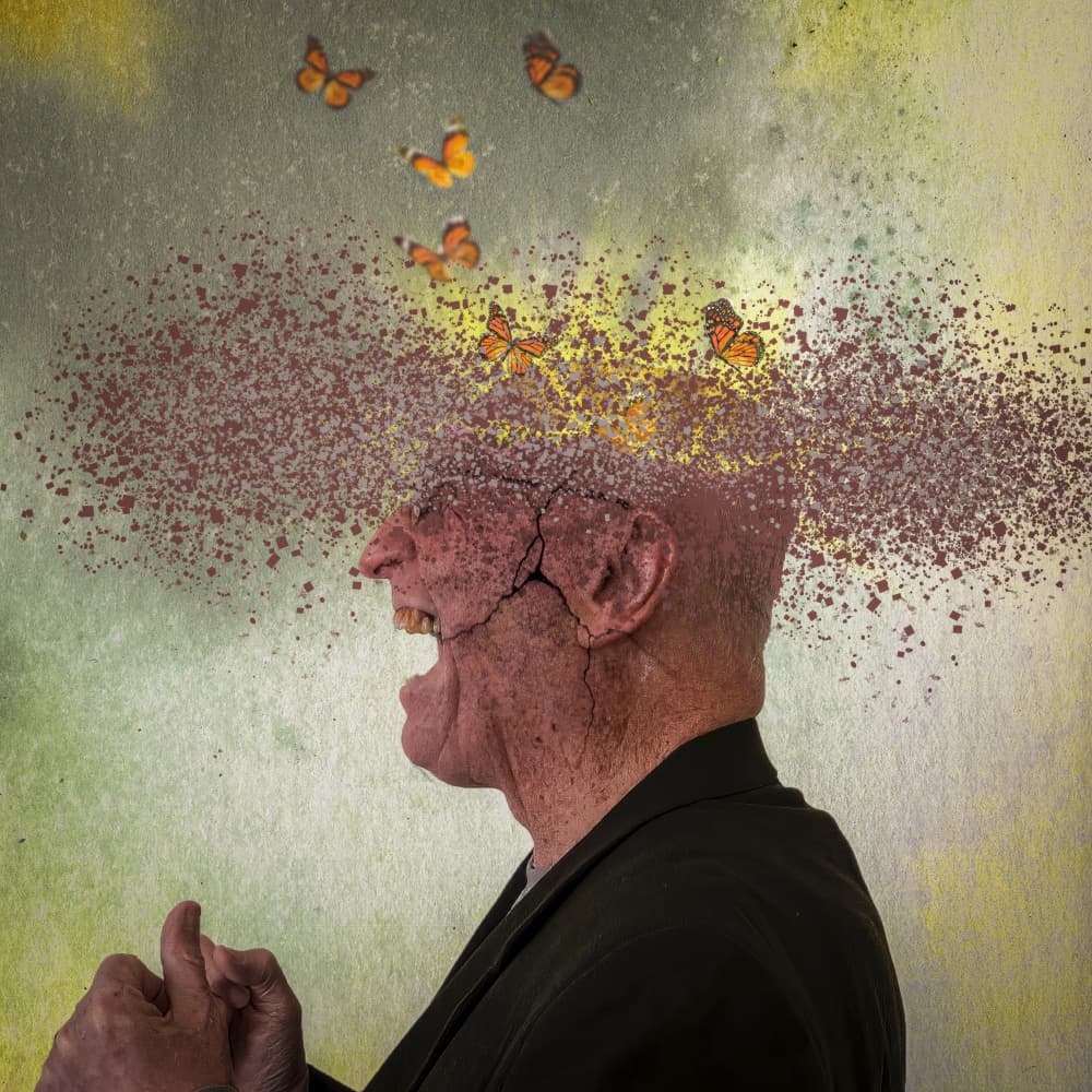 Broken Mind Butterflies by Dov Fuchs — canvas wall art