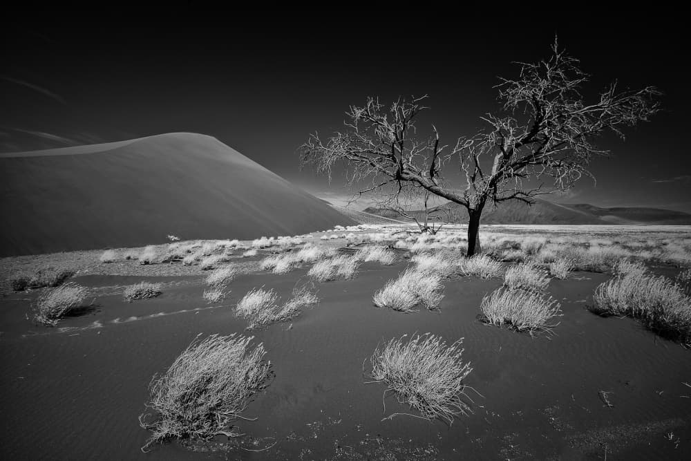 Stark Desert Landscape by Stefan Schilbe — canvas wall art