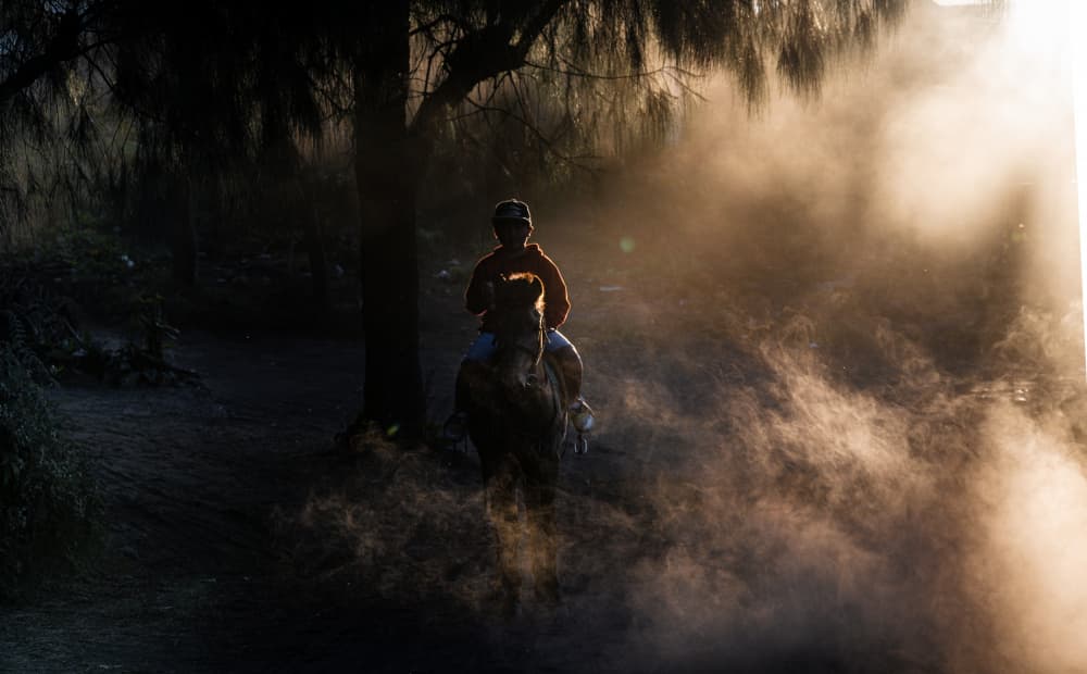 Rider in Golden Dust by Joseph Ng — canvas wall art