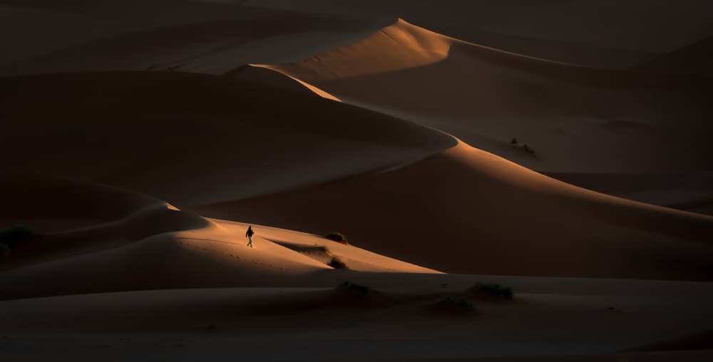 Sunlit Desert Wanderer by Ben McRae — canvas wall art
