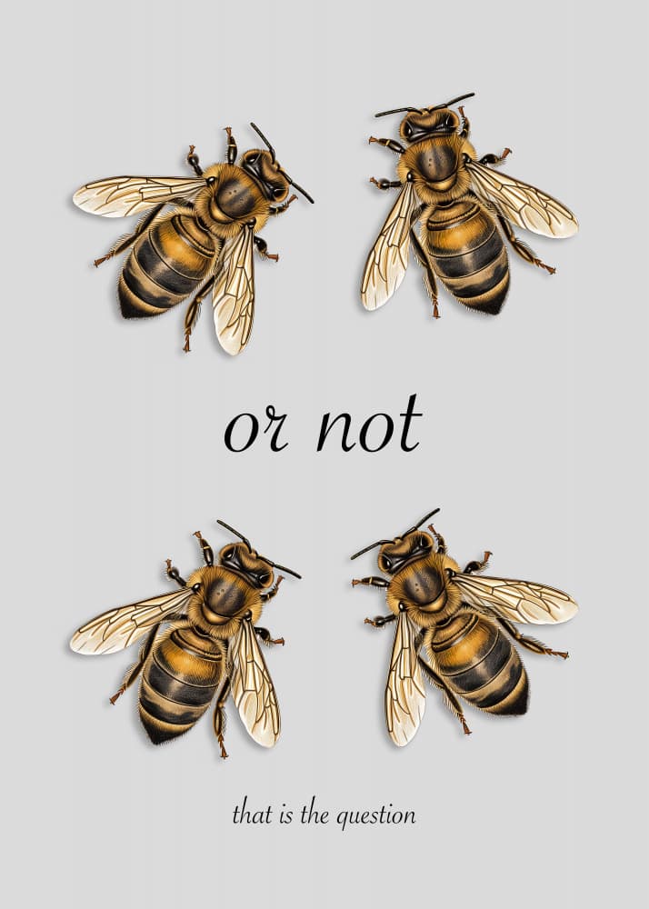 To Bee Or Not by Andreas Magnusson — canvas wall art