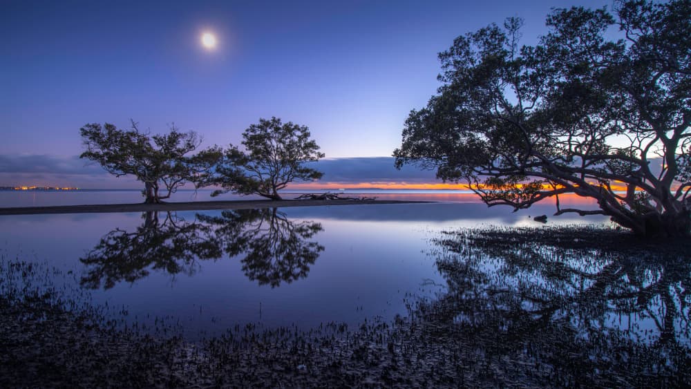 Twilight Coastal Reflections by Emanuel Papamanolis — canvas wall art