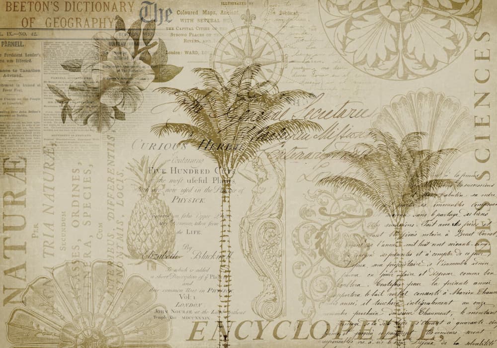 Tropical Botanical Exploration by Andrea Haase — canvas wall art