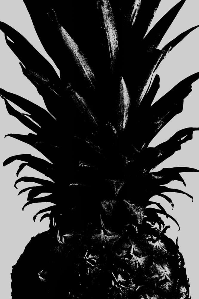 Bold Black Pineapple by Pictufy Studio III — canvas wall art