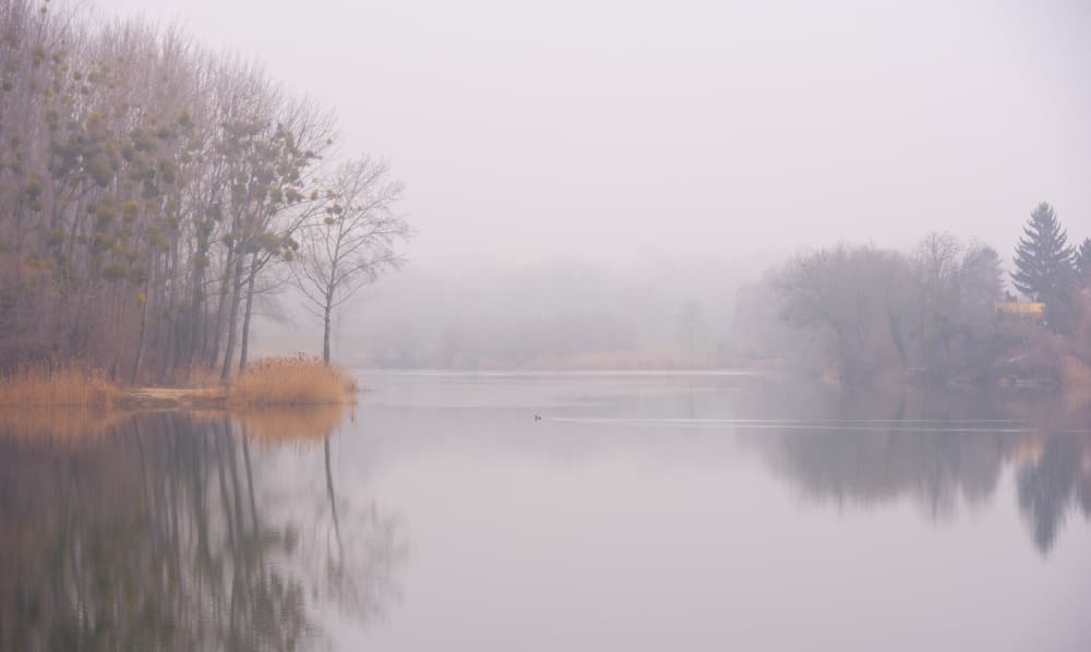 Misty Lake Reflection by Milan Uhrin AFIAP AZSF — canvas wall art