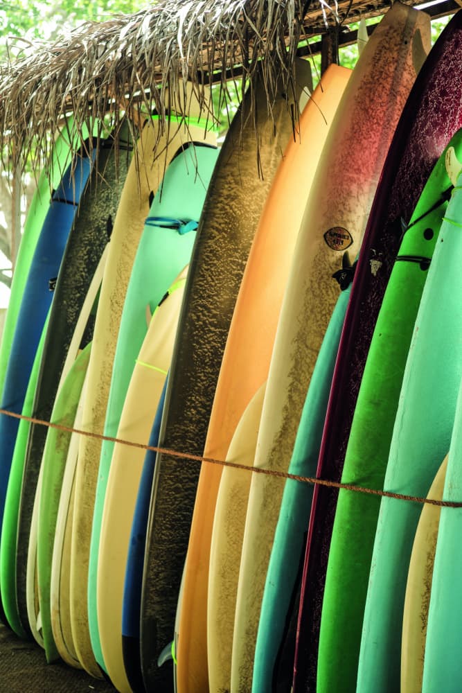 Surfboard Symphony by Shot by Clint — canvas wall art
