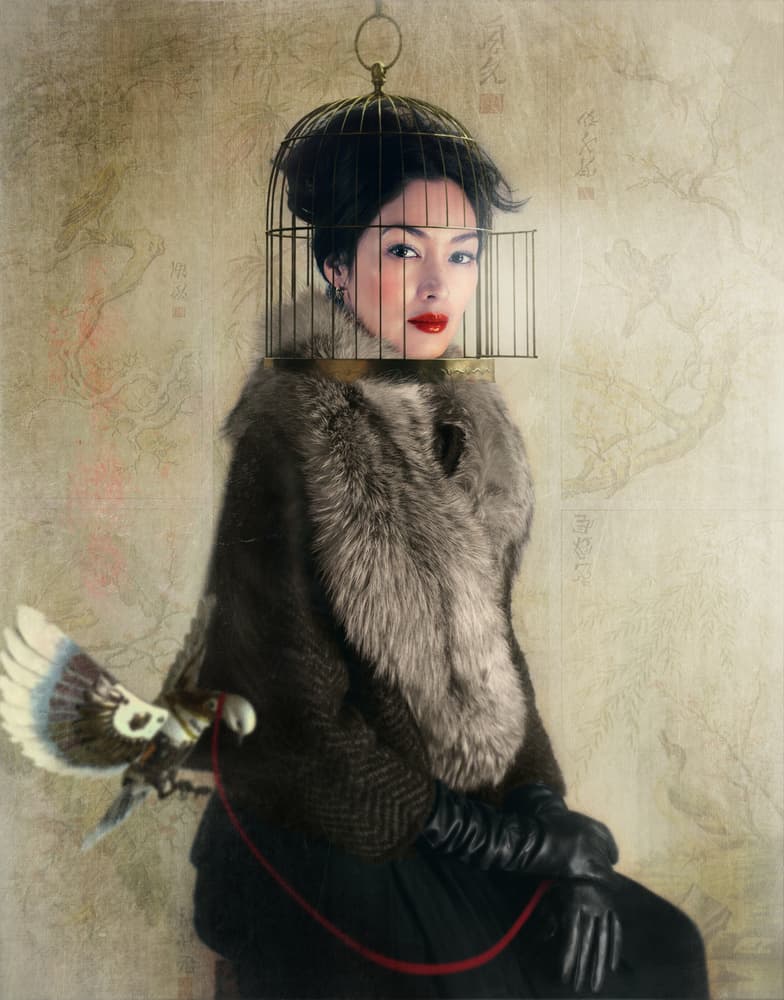 Captive Beauty with Falcon by Svetlana Melik-Nubarova — canvas wall art