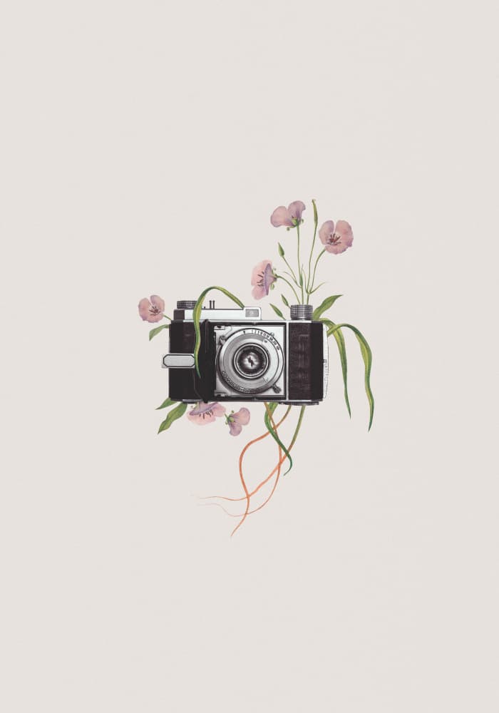 Flowering Vintage Camera by Frida Floral Studio — canvas wall art