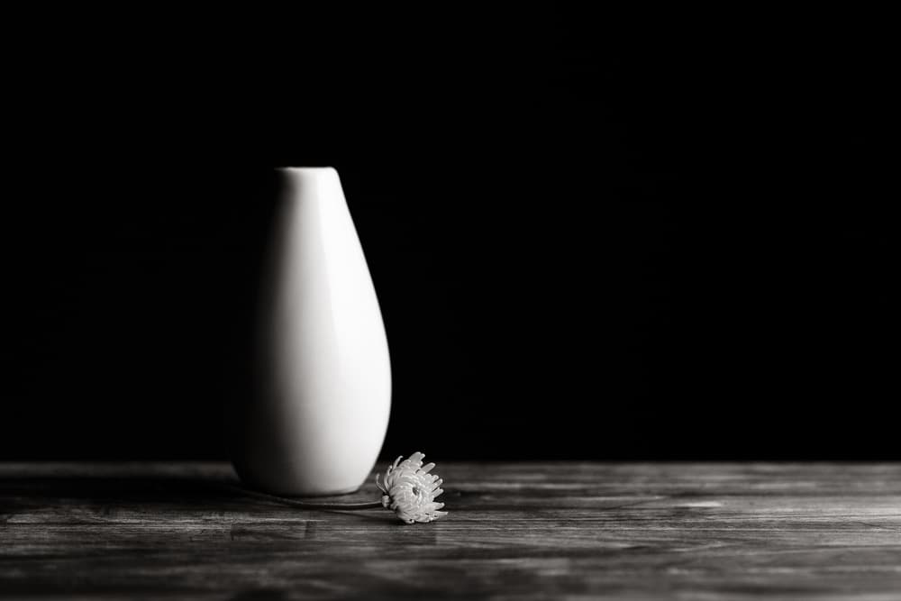 Minimalist Vase and Flower by Dusan Ljubicic — canvas wall art