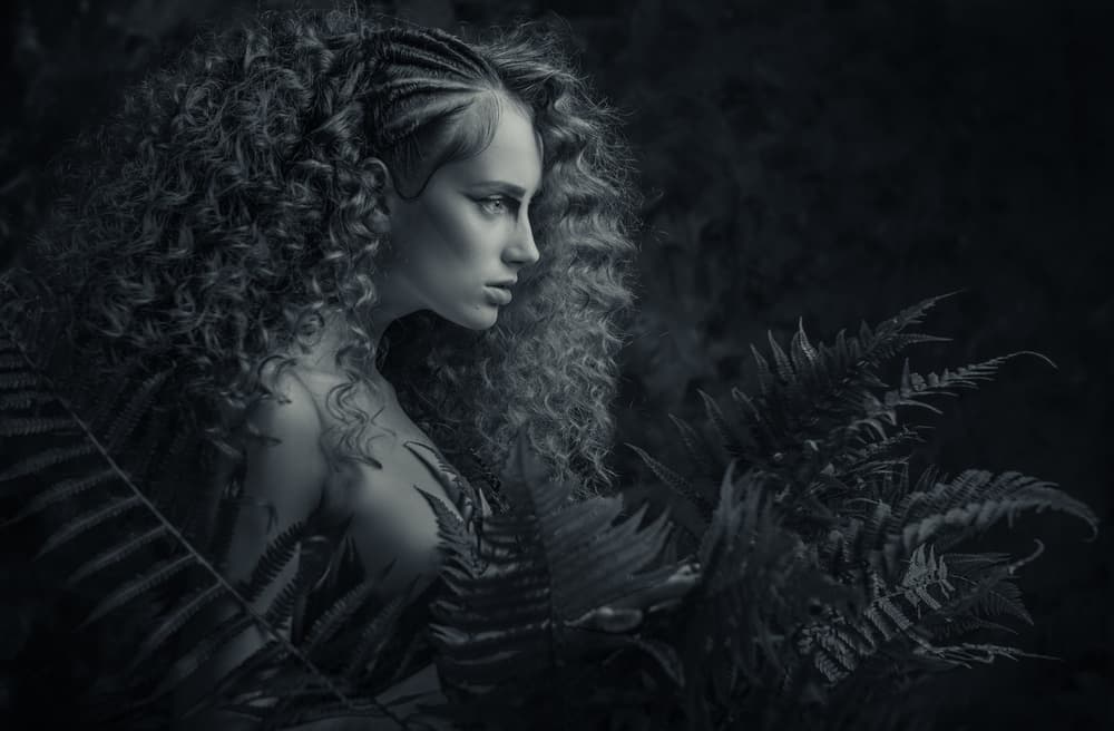 Mysterious Nature Portrait by AURIMAS VALEVICIUS — canvas wall art
