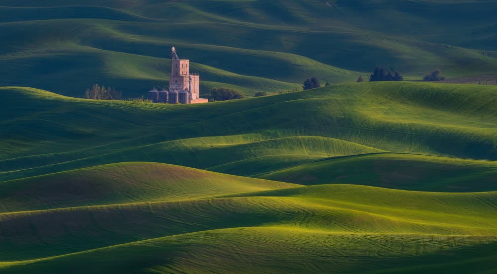 Rolling Green Hills Farm by Rong Wei — canvas wall art