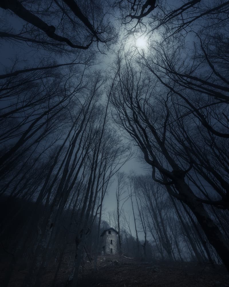 Abandoned Forest House by Filippo Manini — canvas wall art