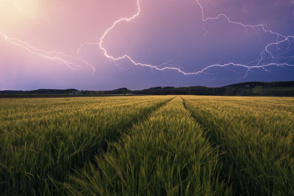 Lightning by Stefan Hefele — canvas wall art